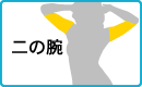 二の腕