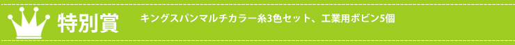 特別賞　マイミシン
