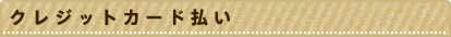 クレジットカード払い