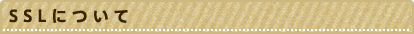 SSLについて