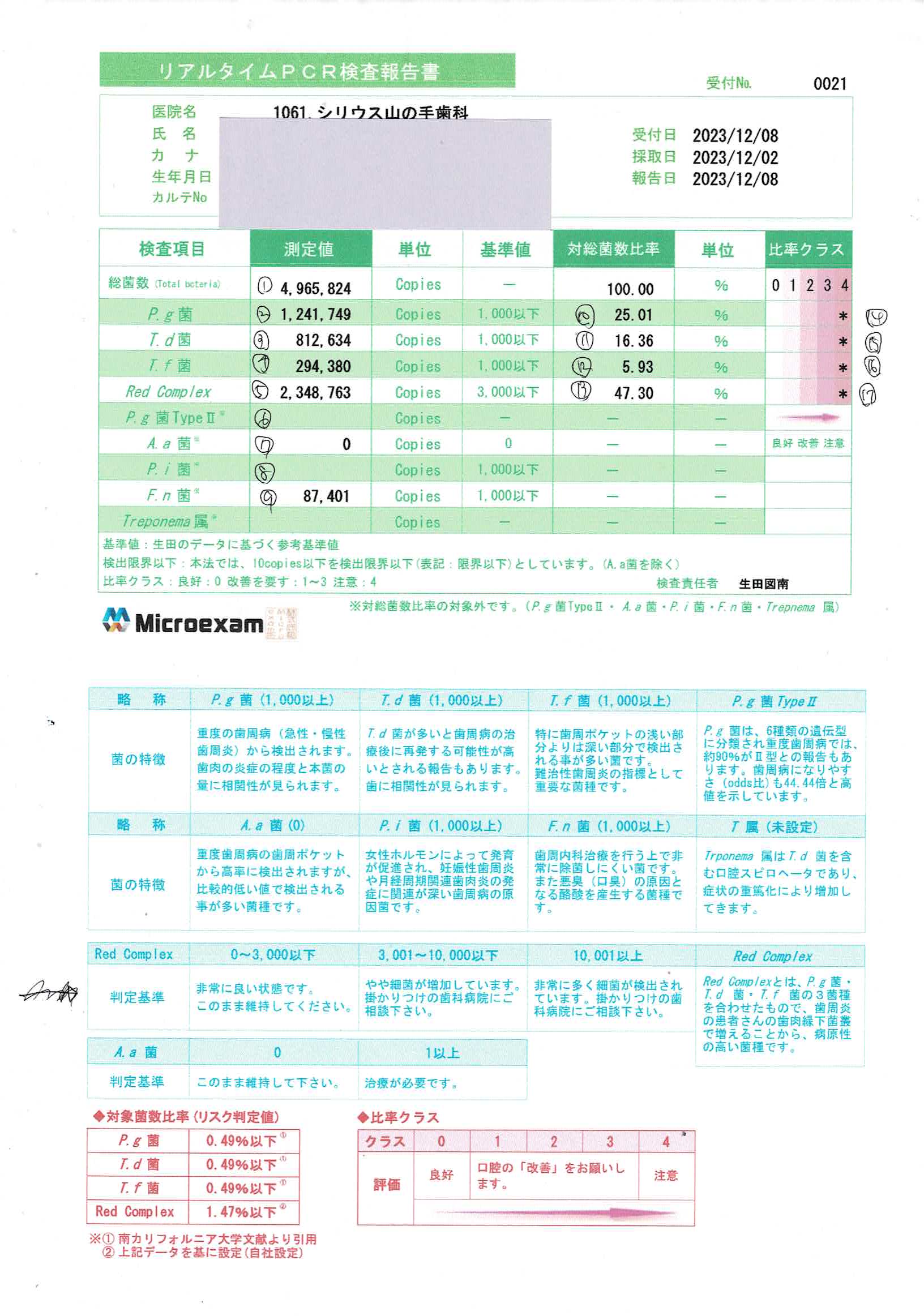 リアルタイムPCR検査報告書
