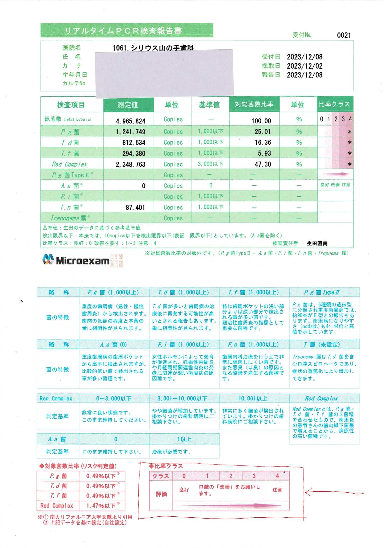 リアルタイムPCR検査報告書